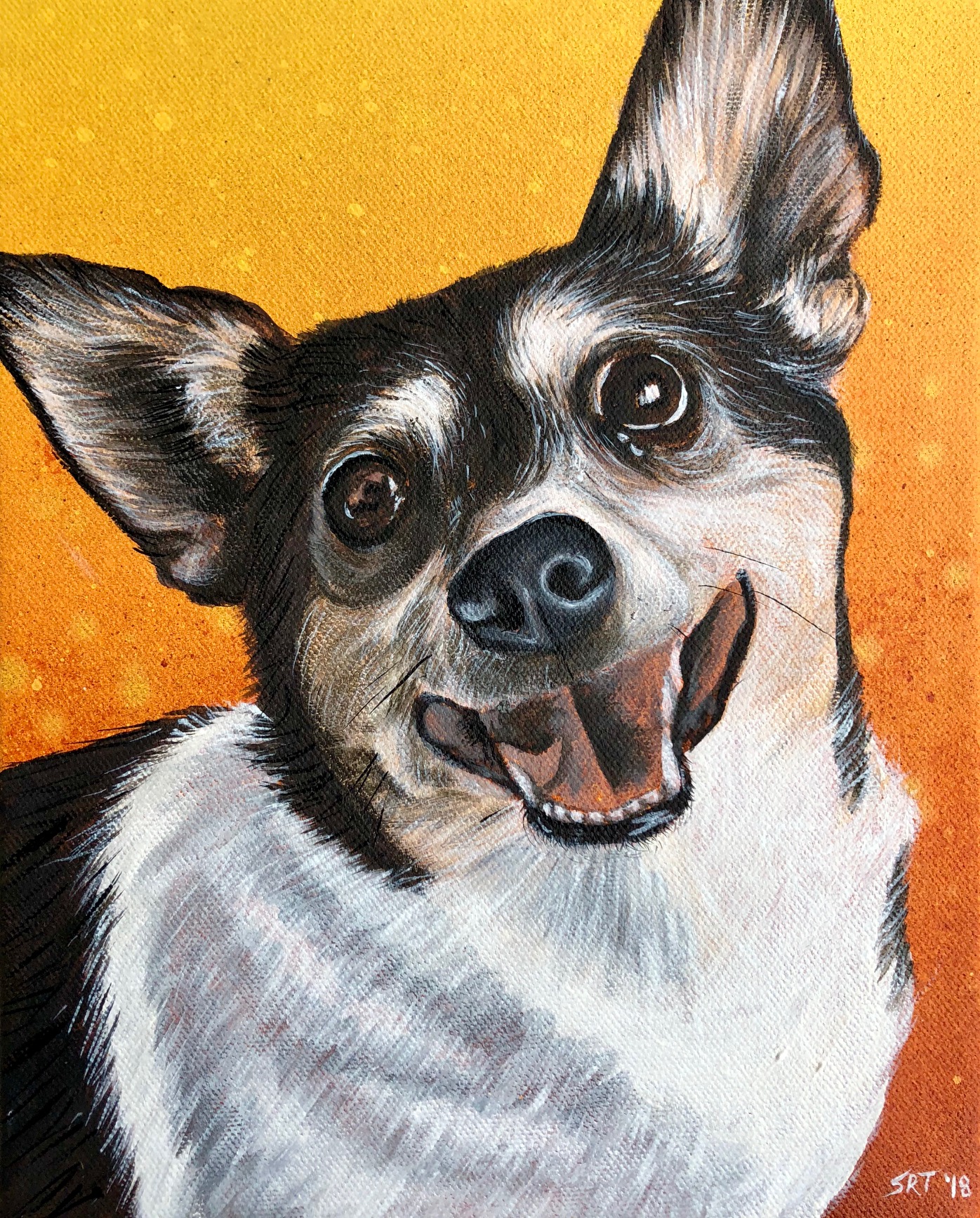 Rat Terrier Pet Portrait